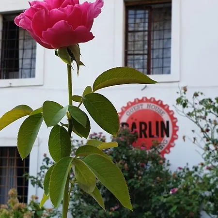 Barlin Grill&camping Guest house